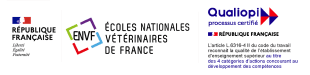ENVF