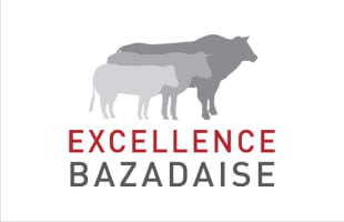 OS Excellence Bazadaise
