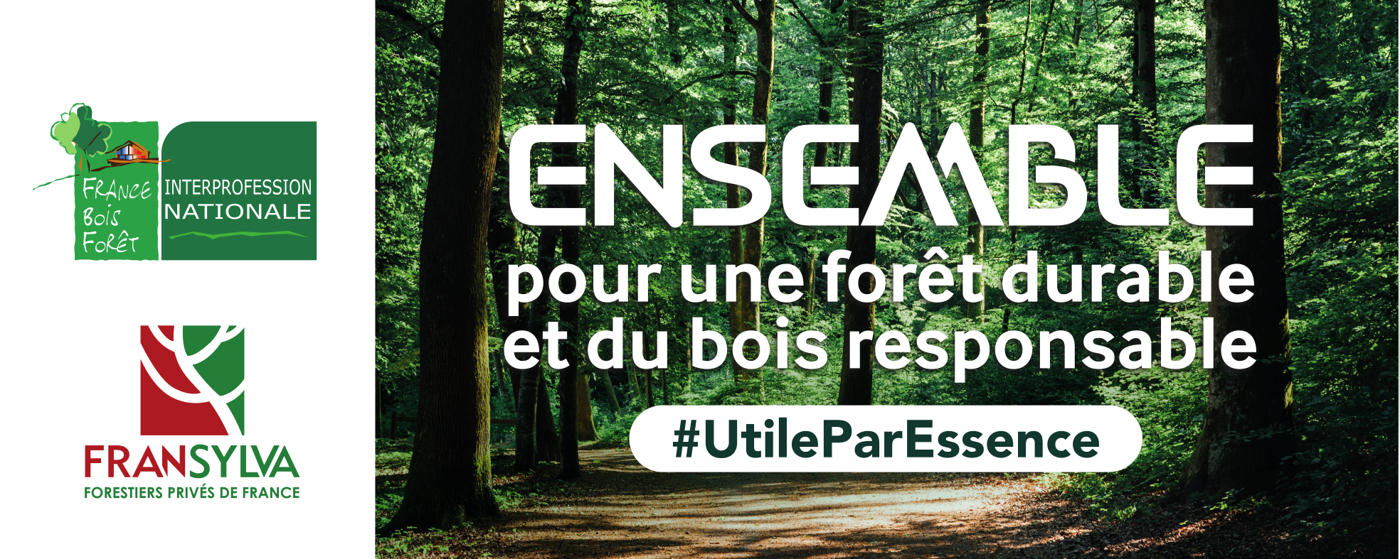 Filière Forêt Bois