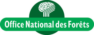 Office national des forêts - Forêt et bois