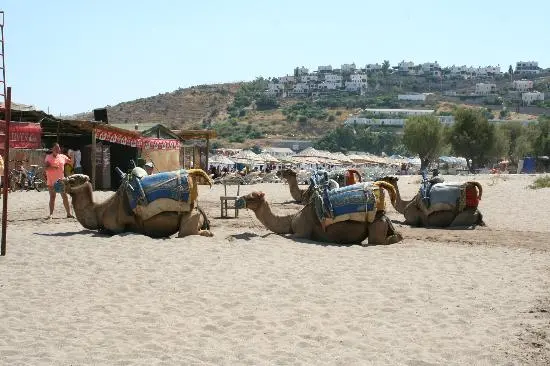 Camel Beach Kargı