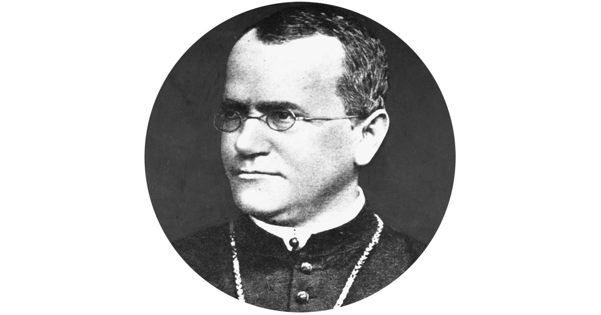 Грегор мендель. Gregor Johann Mendel. Мендель ученый. Грегор Мендель биолог.