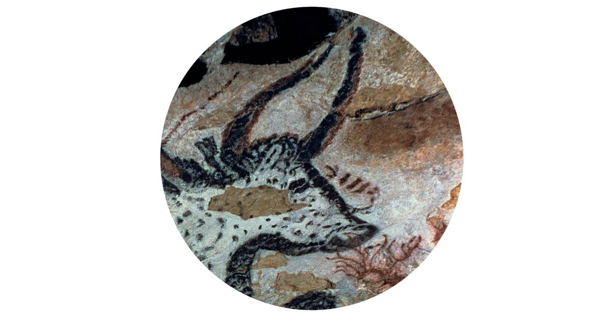 Stone Age Cave Paintings Cave Paintings Facts Dk Find Out