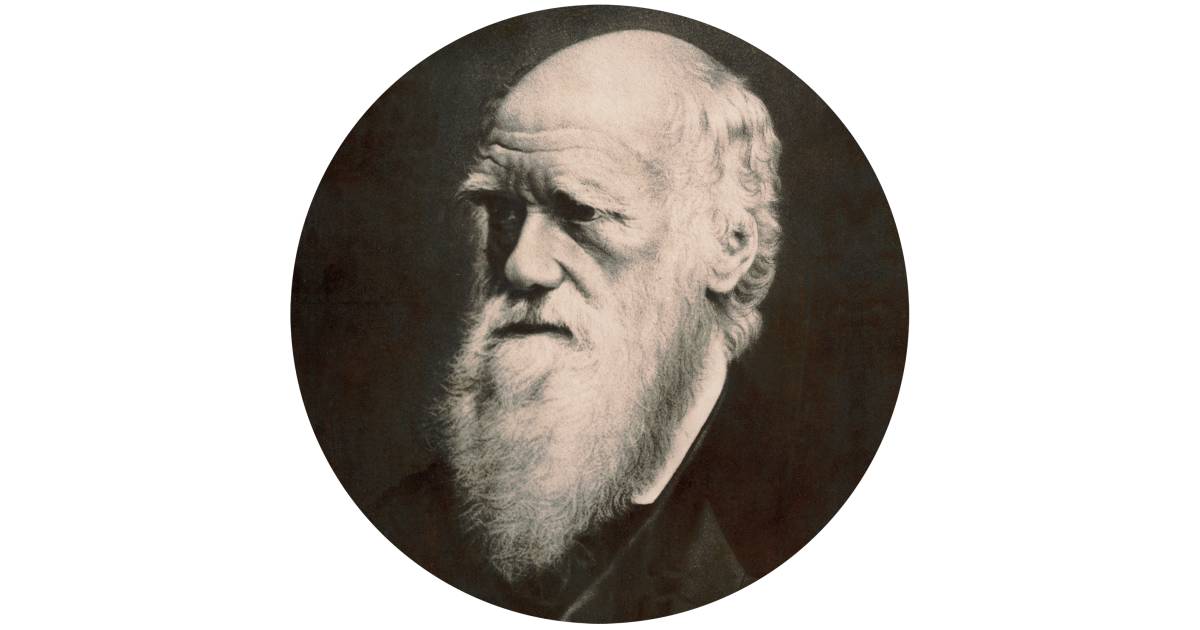 Who Is Charles Darwin Charles Darwin For Kids DK Find Out