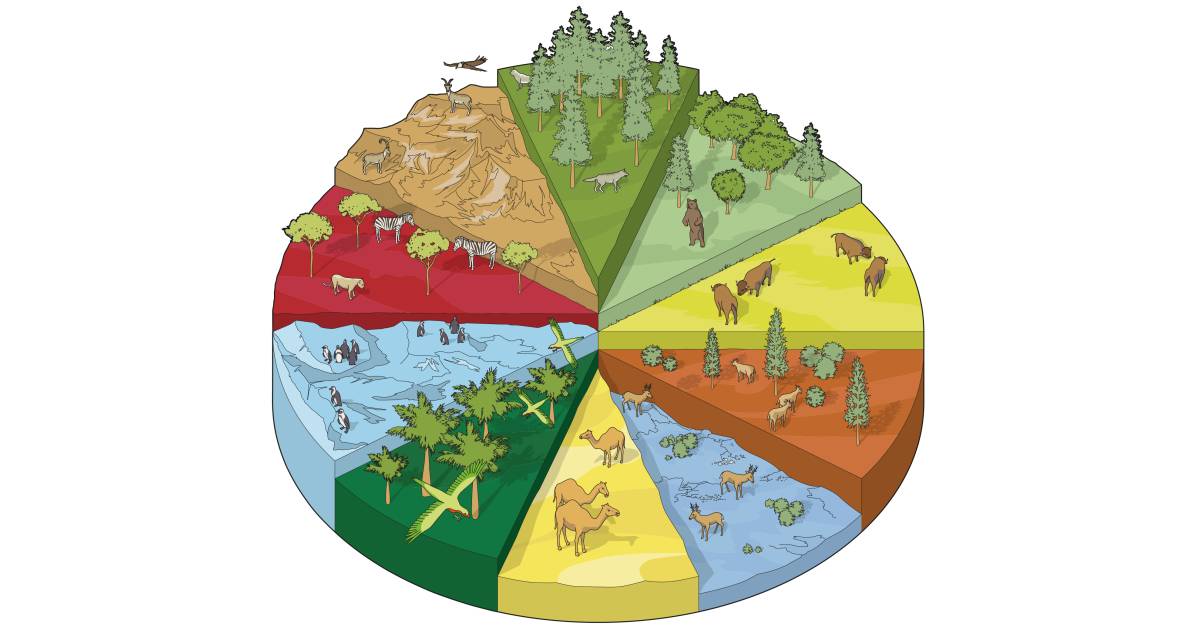 Land Habitats | Different Habitat Types | DK Find Out
