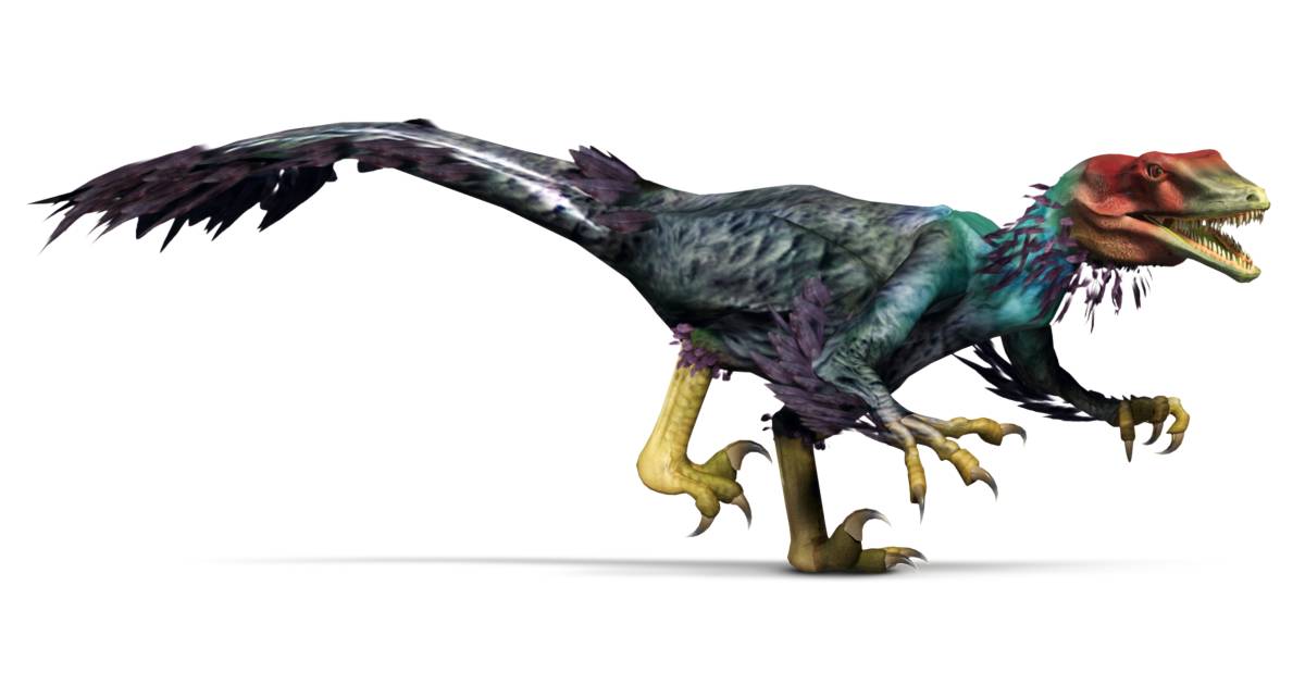 Utahraptor