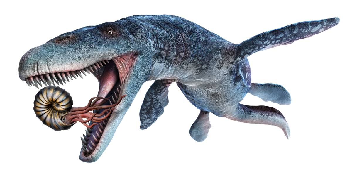 Mosasaurus | Mosasaurus Facts | DK Find Out
