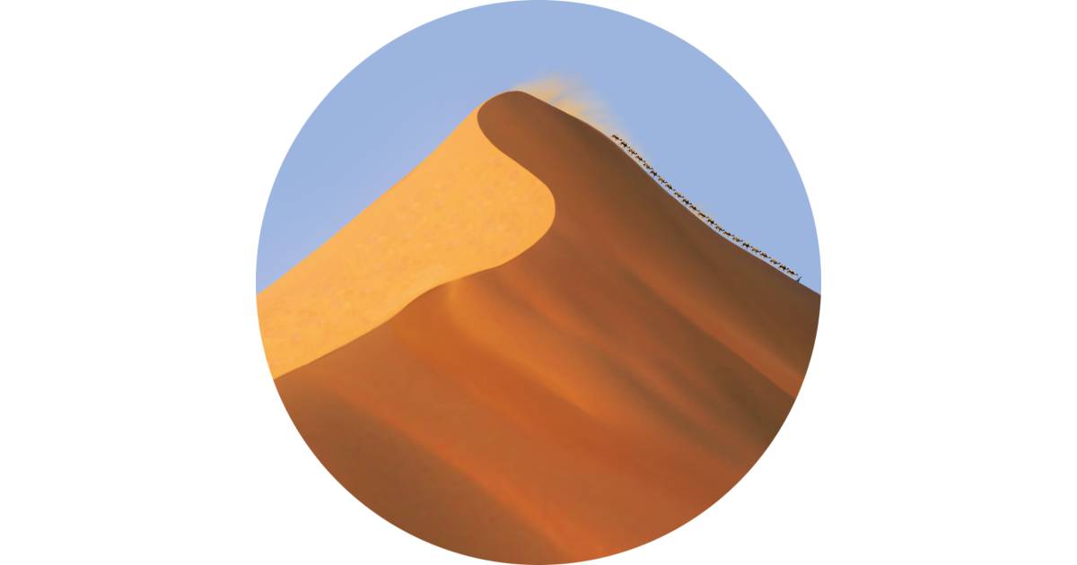 Sand Dune Facts How Are Sand Dunes Formed Dk Find Out