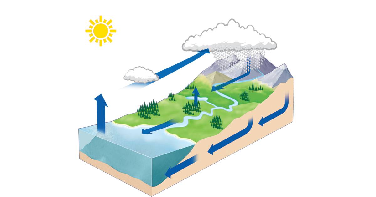 Water Cycle Facts | Water Cycle Definition | DK Find Out Water Cycle Facts | Water Cycle Definition | DK Find Out
