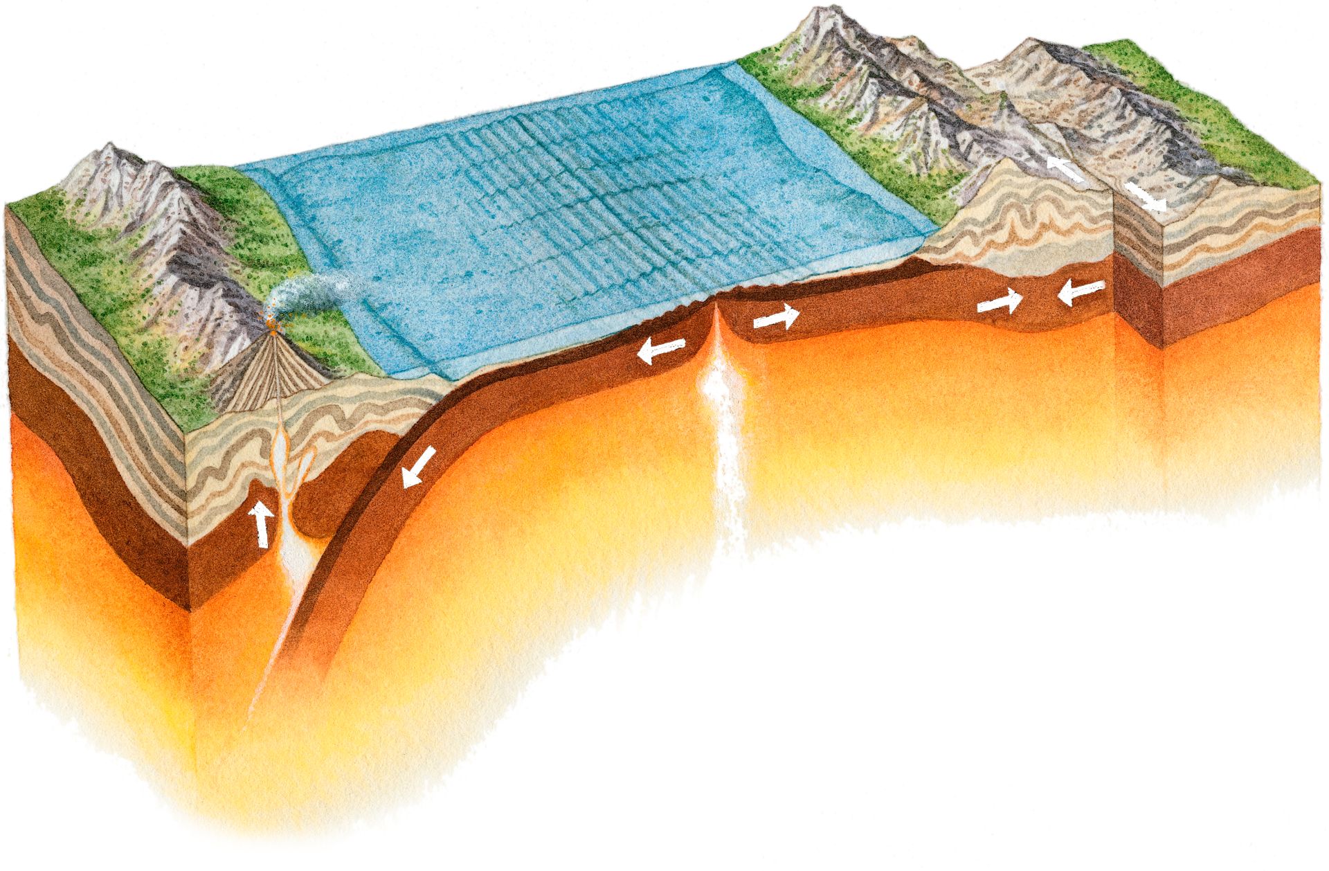 What Drives The Motion Of The Continental Plates On Earth The Earth