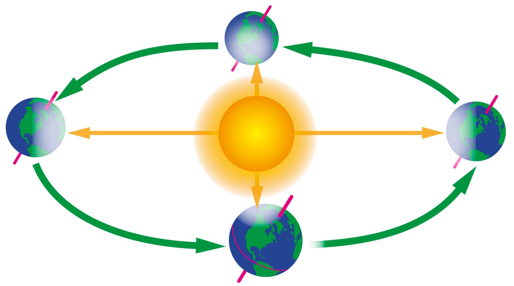 Earth's Orbit Earth's Orbit Around The Sun DK Find Out