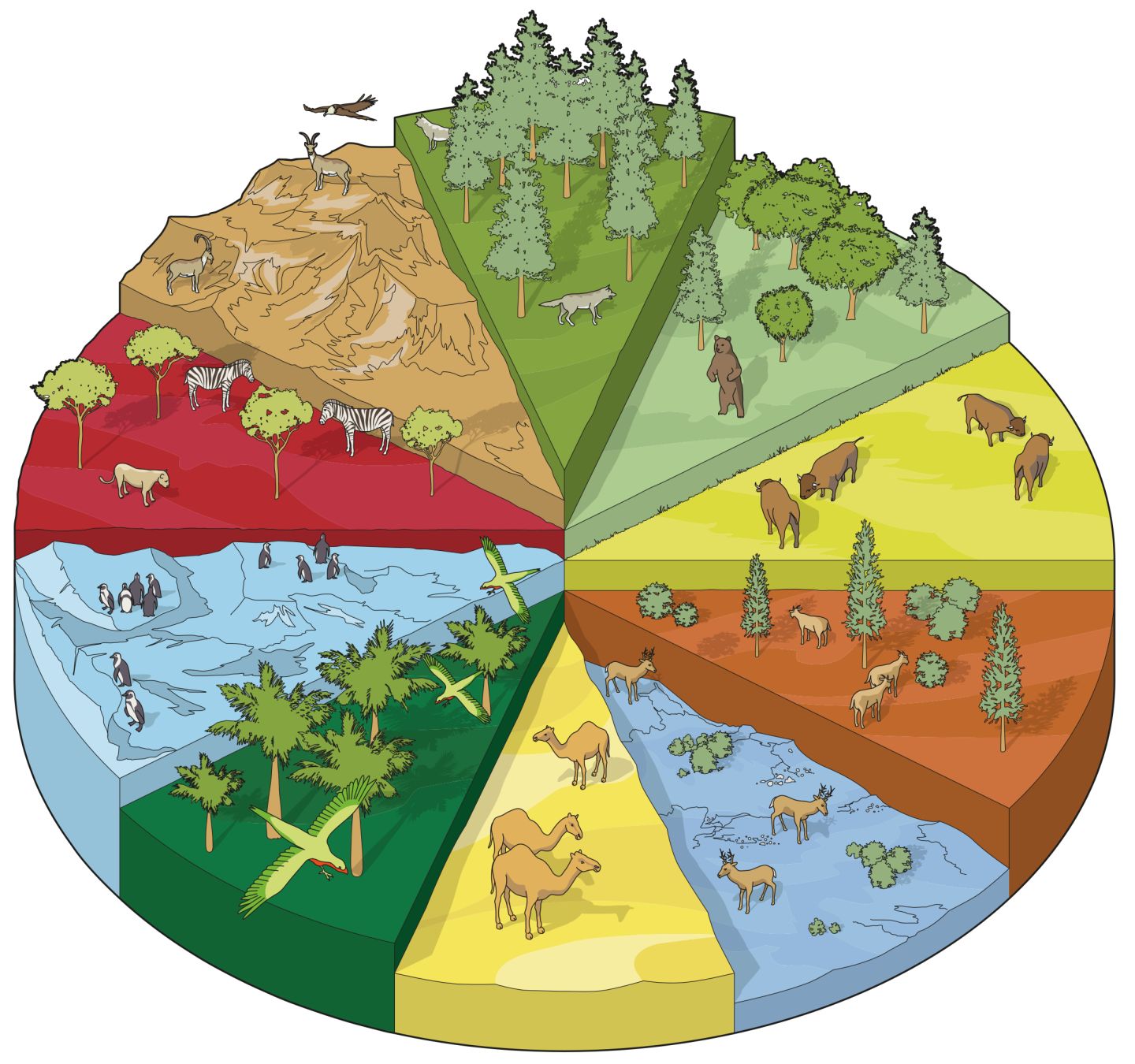 Land And Water Animals Chart