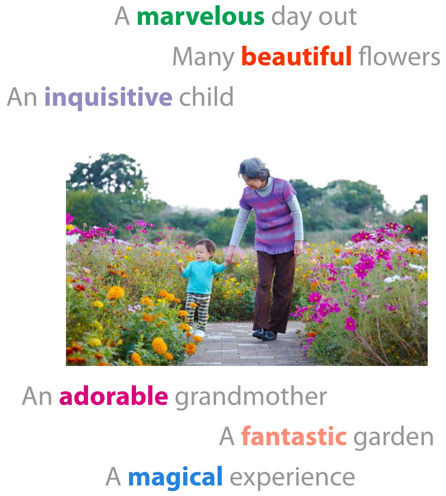 Adjective Words To Describe A Garden Fasci Garden