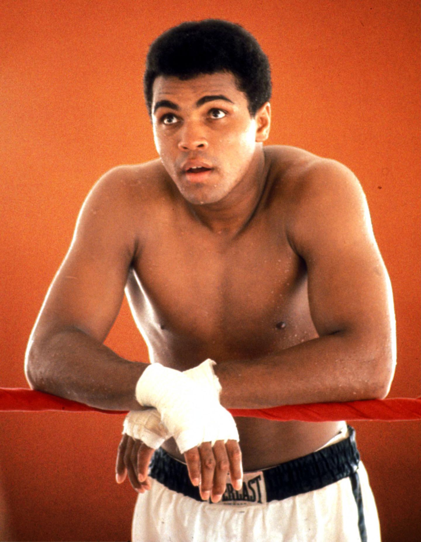 the great muhammad ali