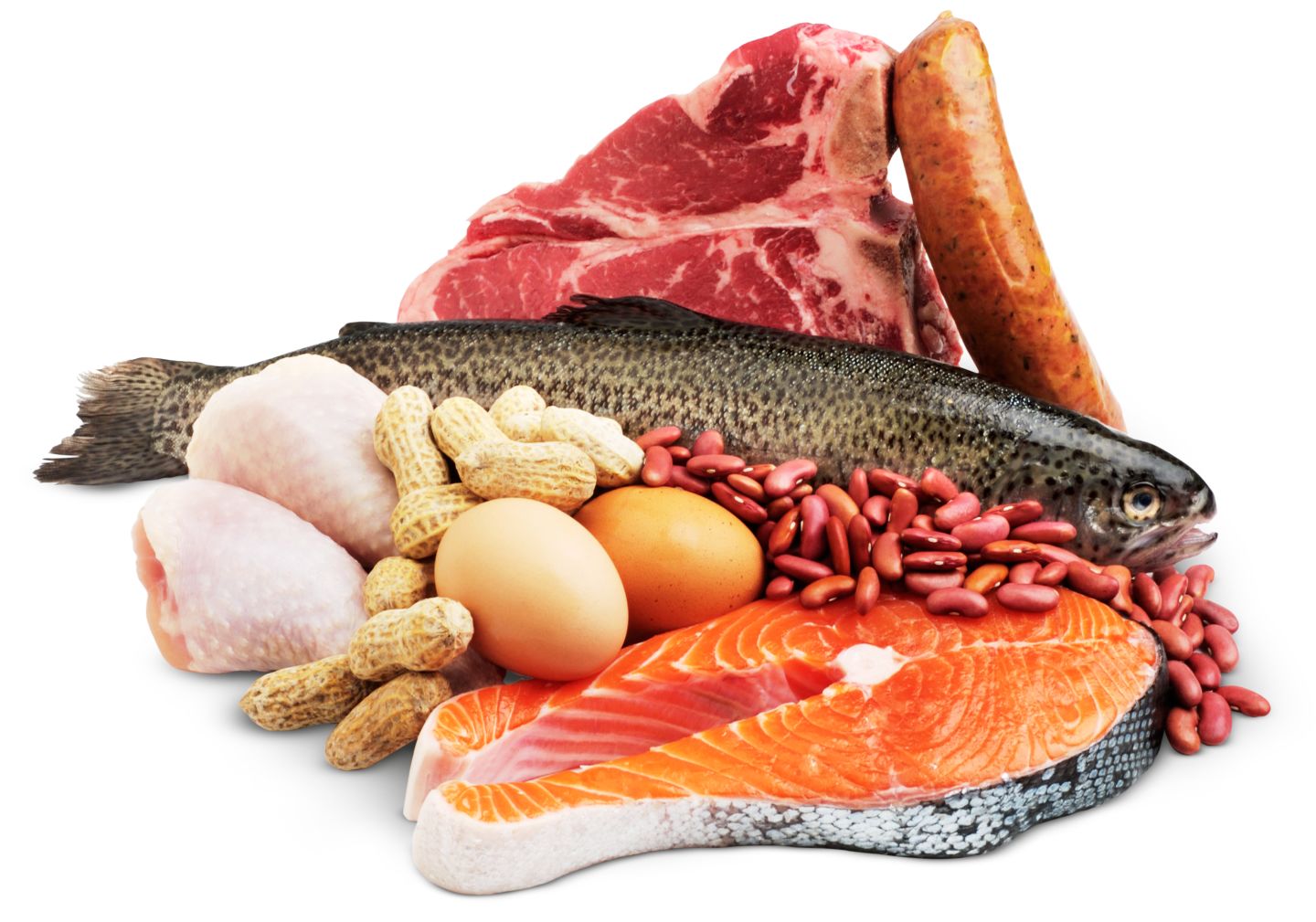 Facts About Proteins Protein Foods DK Find Out