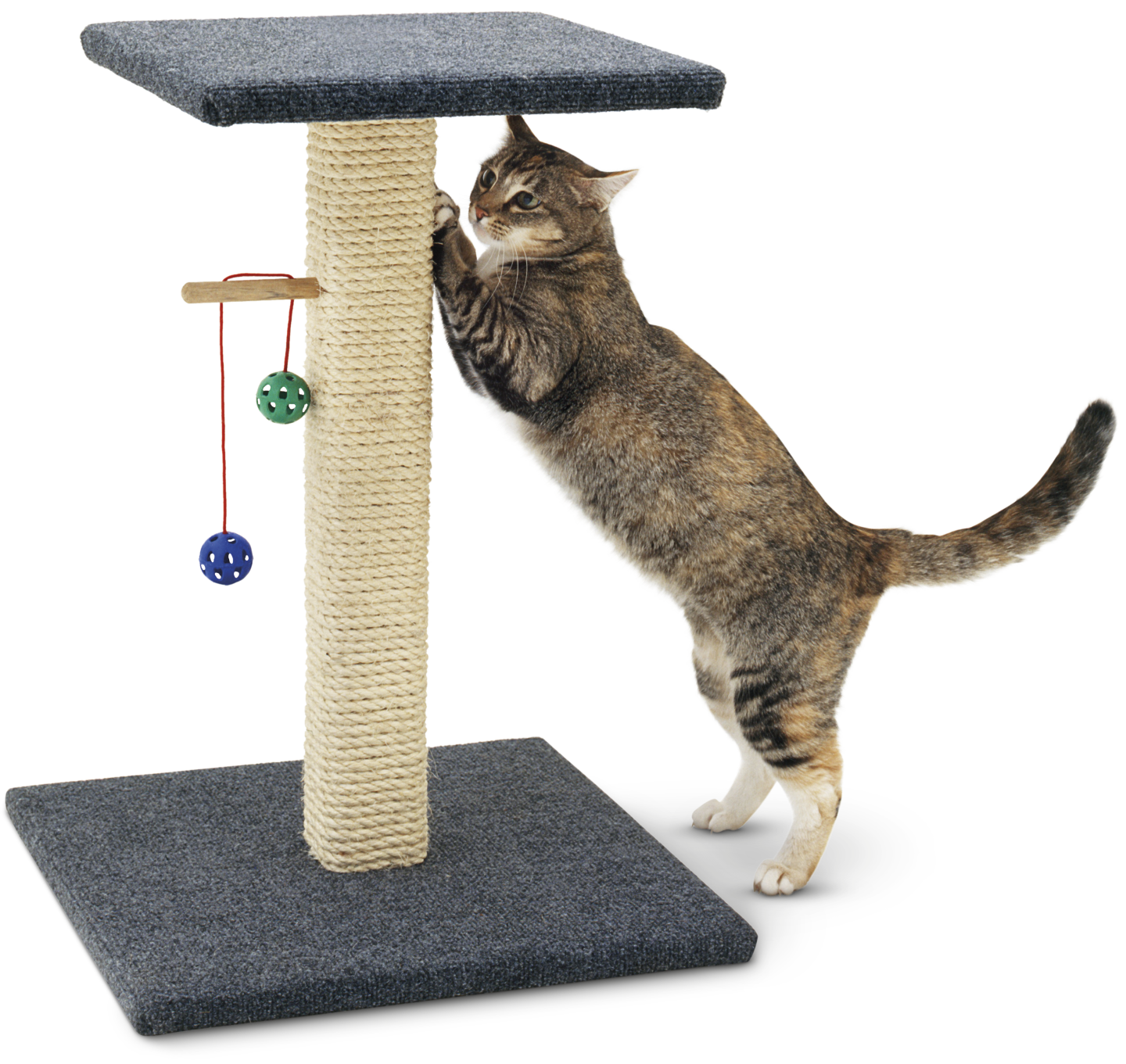 Cat Toy Png - PNG Image Collection