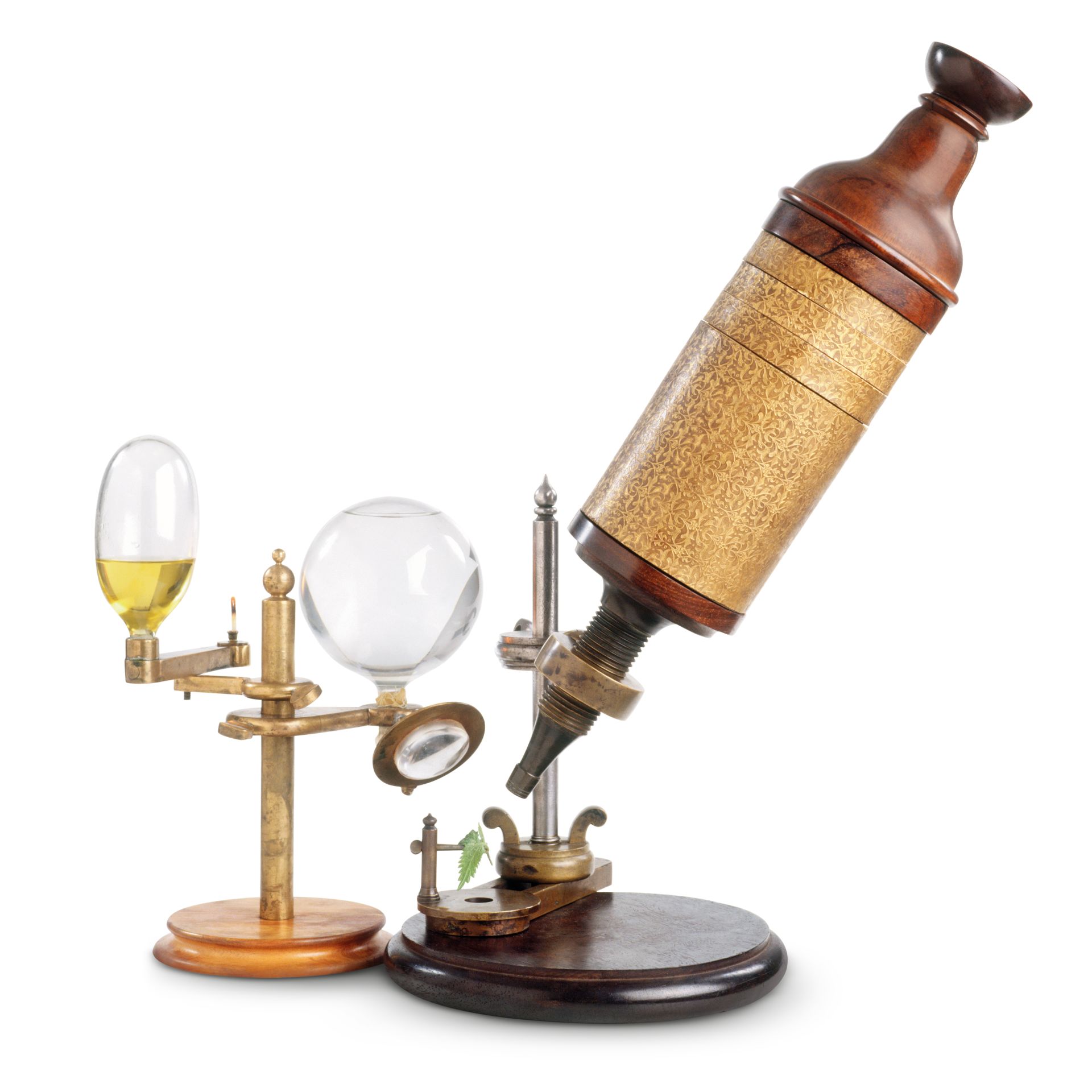 Invention Of The Microscope Microscope Facts DK Find Out