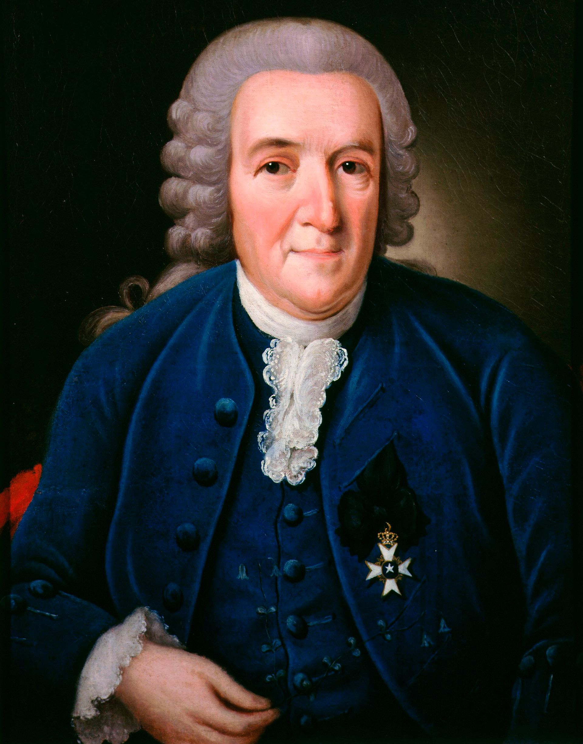 К линней. Карл Линней. Карл Линней (1707-1778). К.Линней - (1707-1778). Шведский естествоиспытатель Карл Линней (1707-1778).