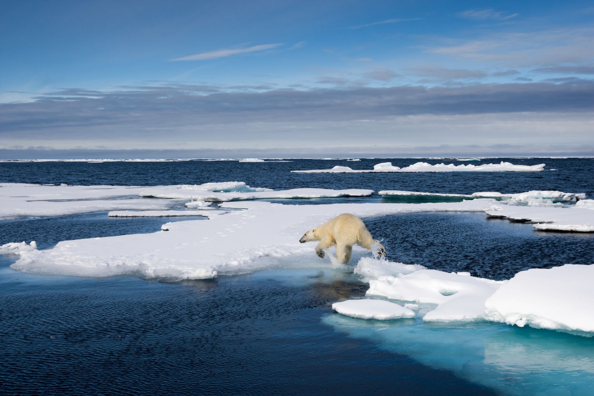 The Arctic Ocean Smallest Ocean In The World DK Find Out   A Corbis 42 21621731 Cp9j2g 