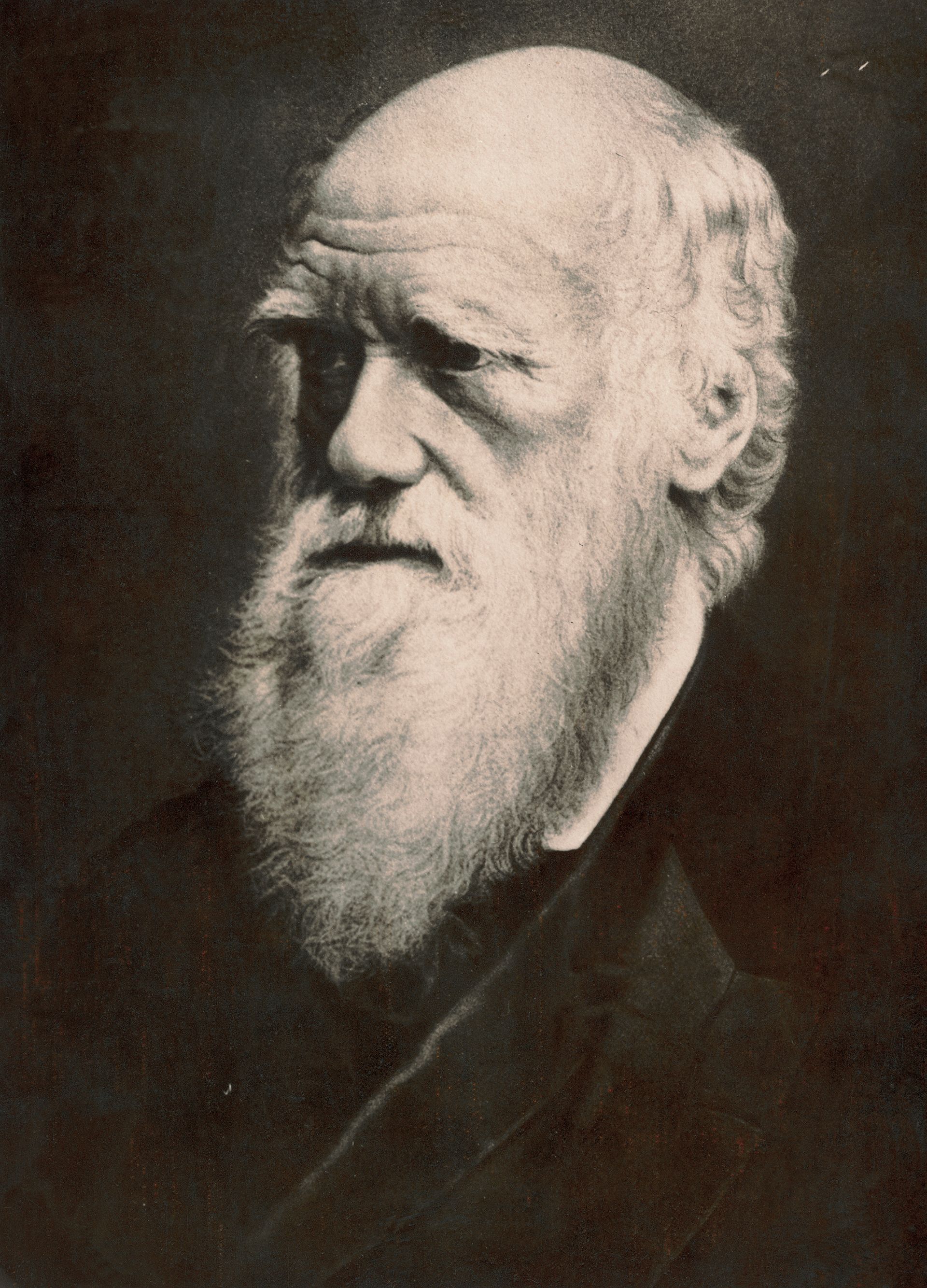 charles darwin