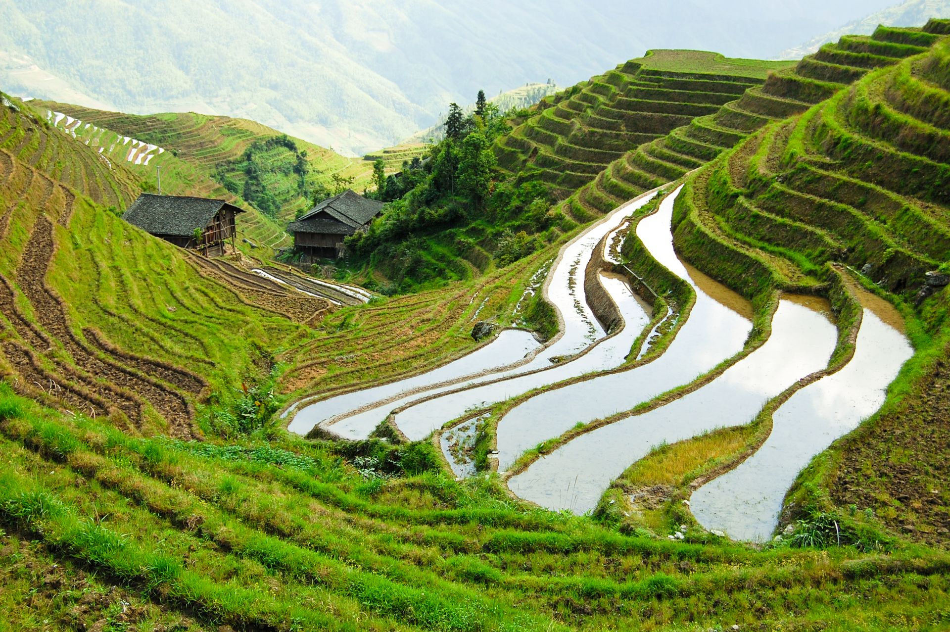  Chinese  Farming  Farmers In China  DK Find Out