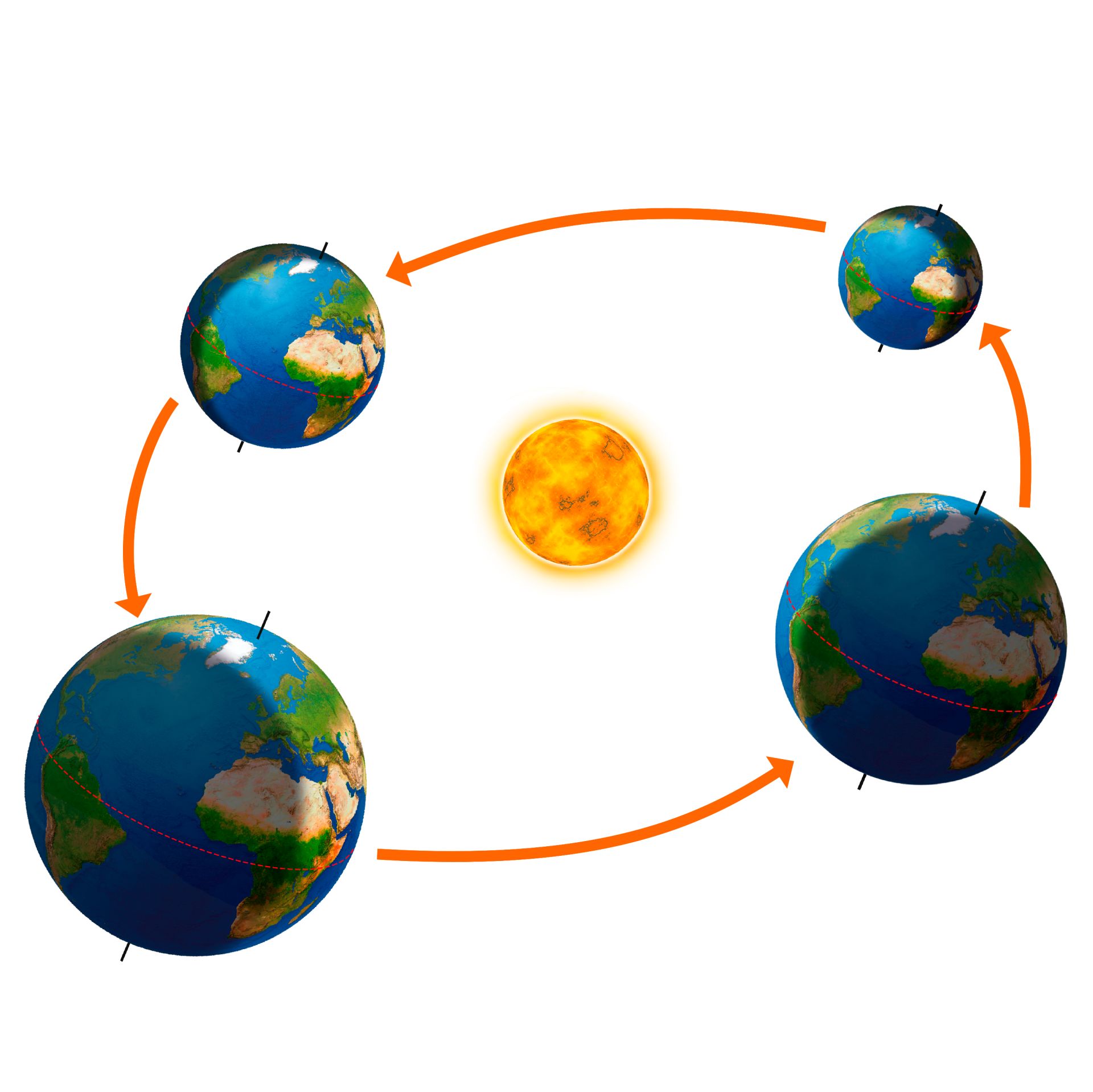 What Causes The Four Seasons | DK Find Out