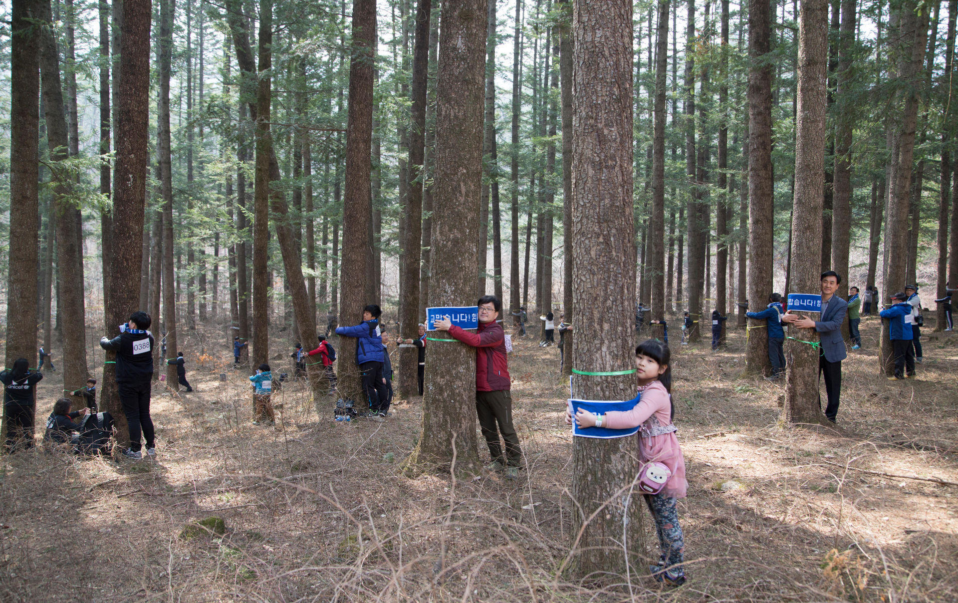 International Day of Forests