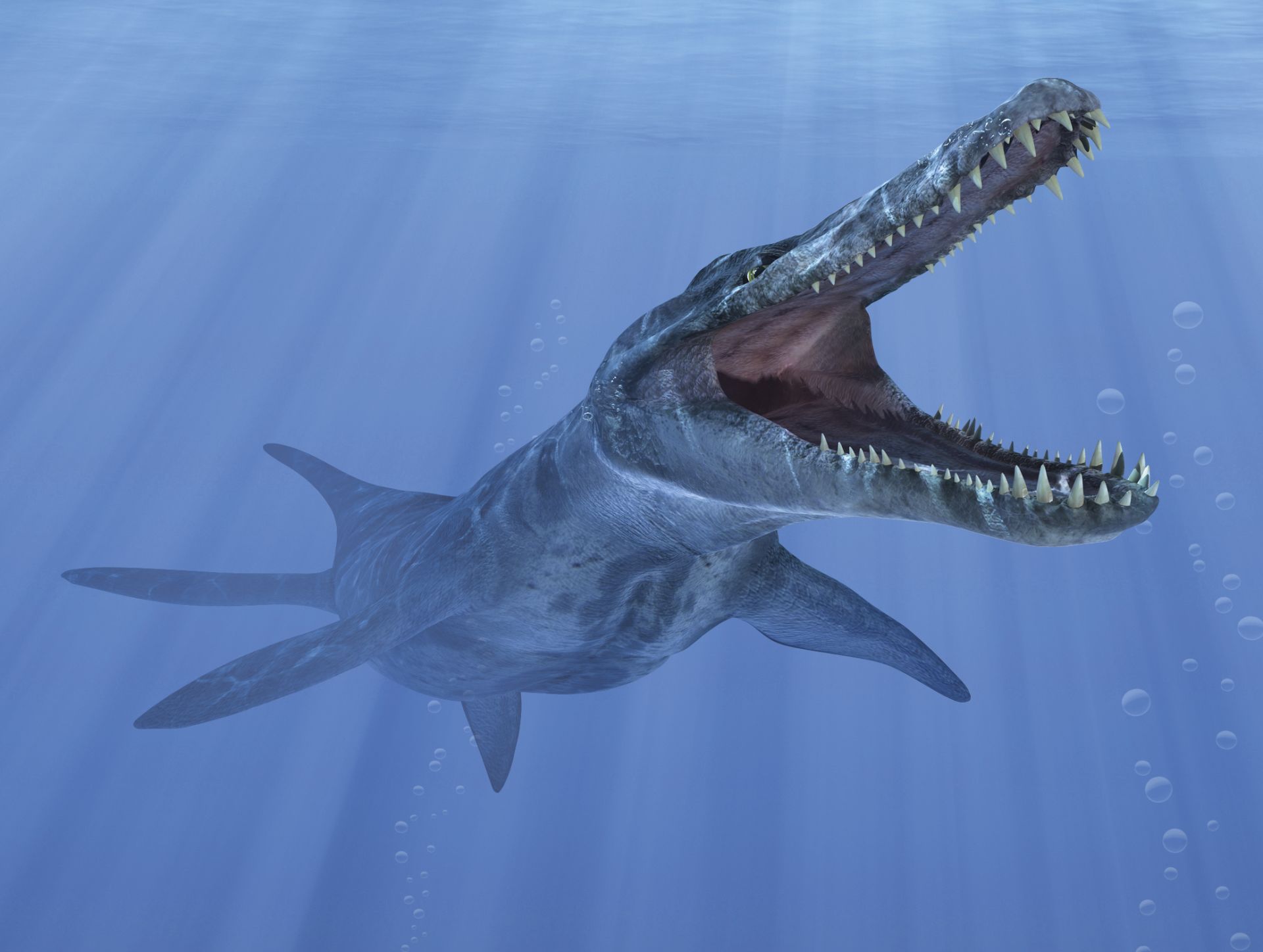 Kronosaurus | Kronosaurus Facts | DK Find Out