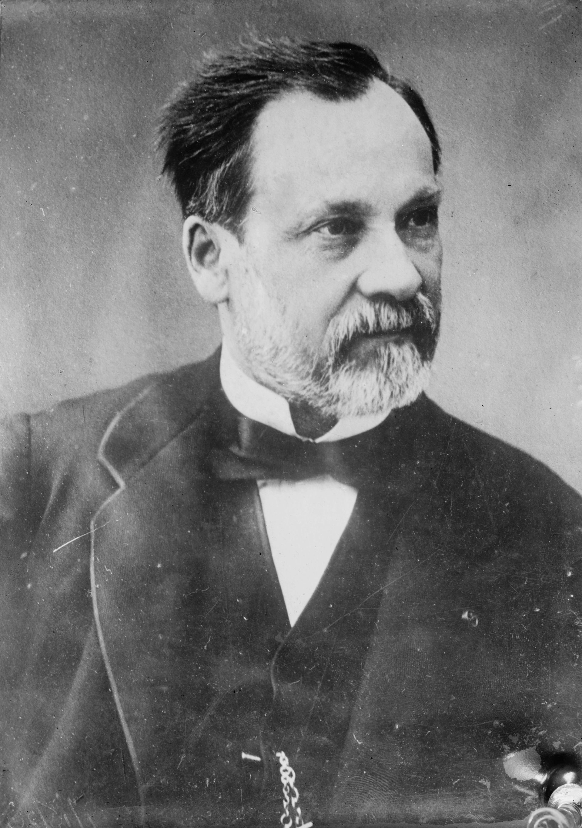 Louis pasteur что открыл