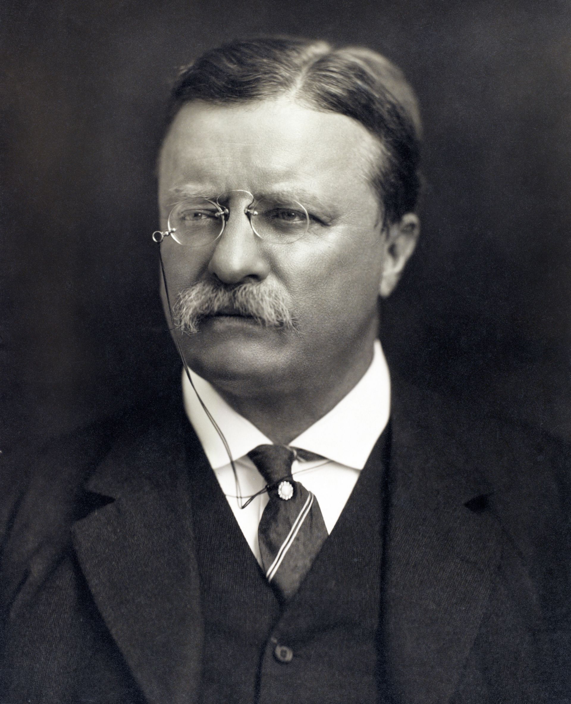 t roosevelt