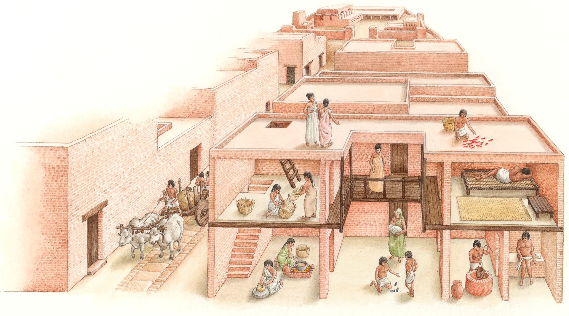 Indus Valley Civilization Houses And Buildings DK Find Out   MA 00009889 Ddpizz 