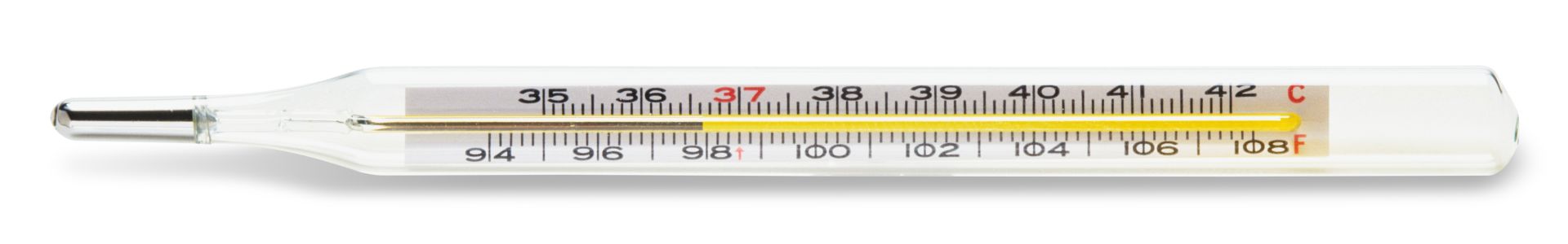 what does a thermometer look like