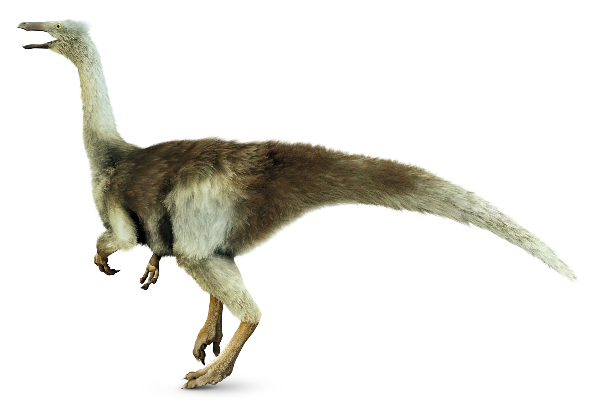 Gallimimus Dinosaur Facts For Kids | DK Find Out