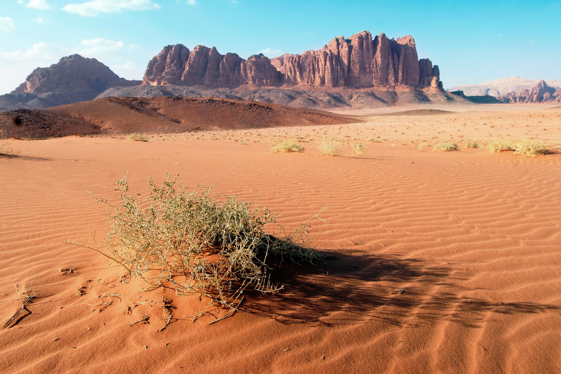 Types Of Deserts