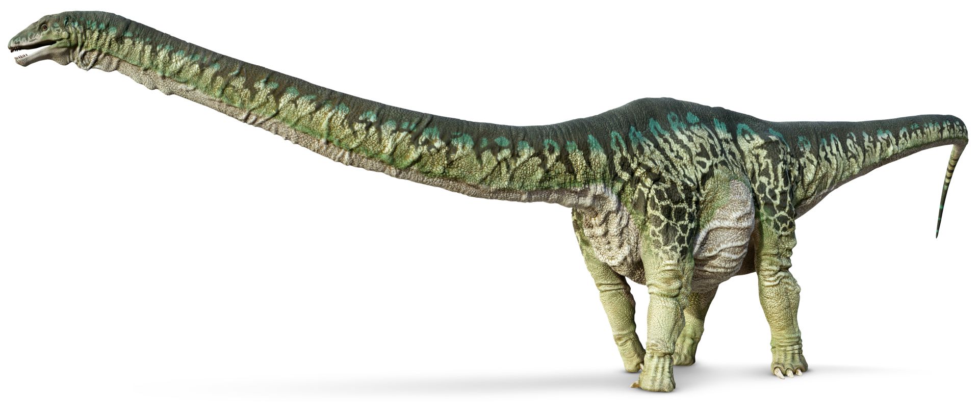 nama nama dinosaurus