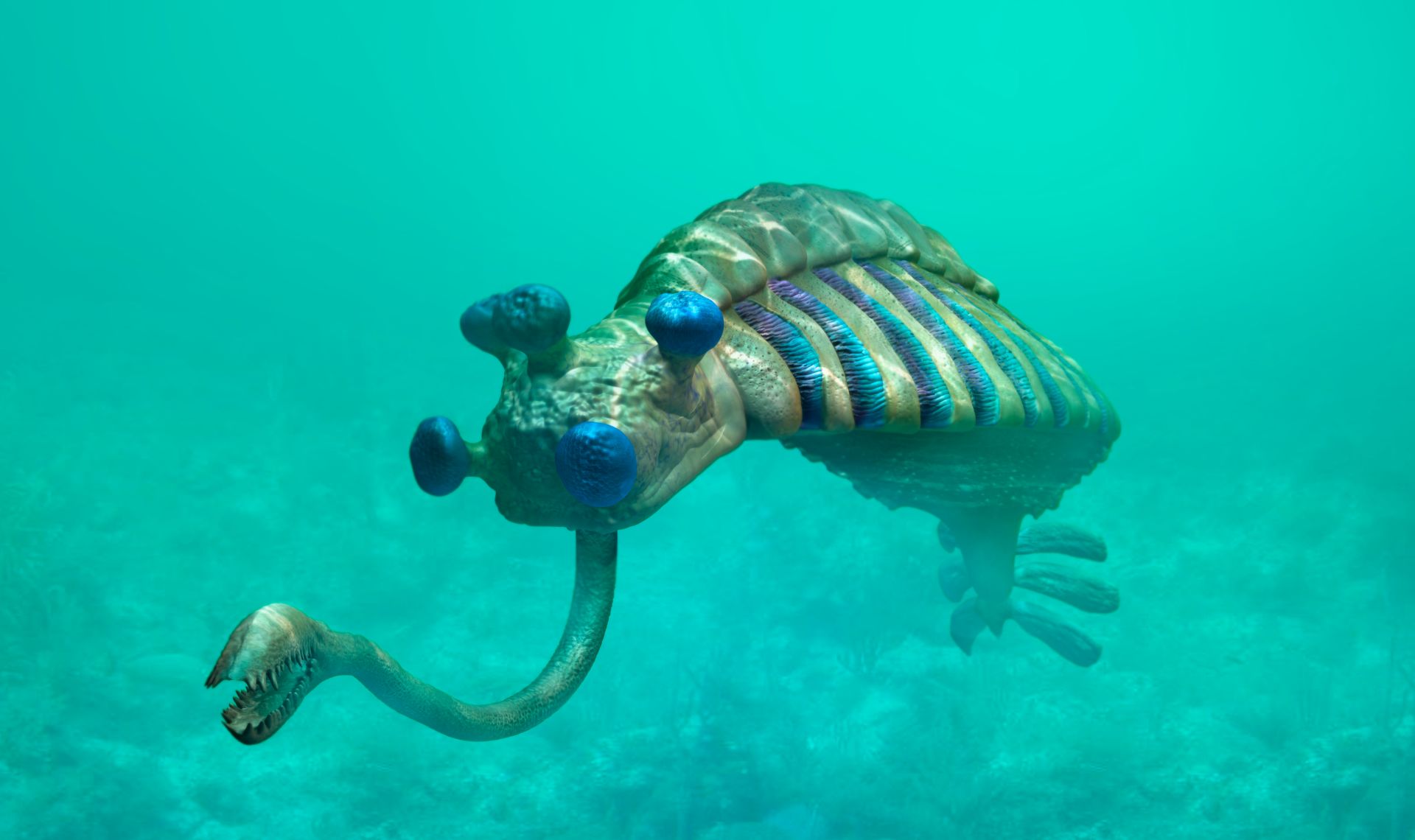 Opabinia Facts | Cambrian Explosion Animals | DK Find Out Opabinia Facts | Cambrian Explosion Animals | DK Find Out
