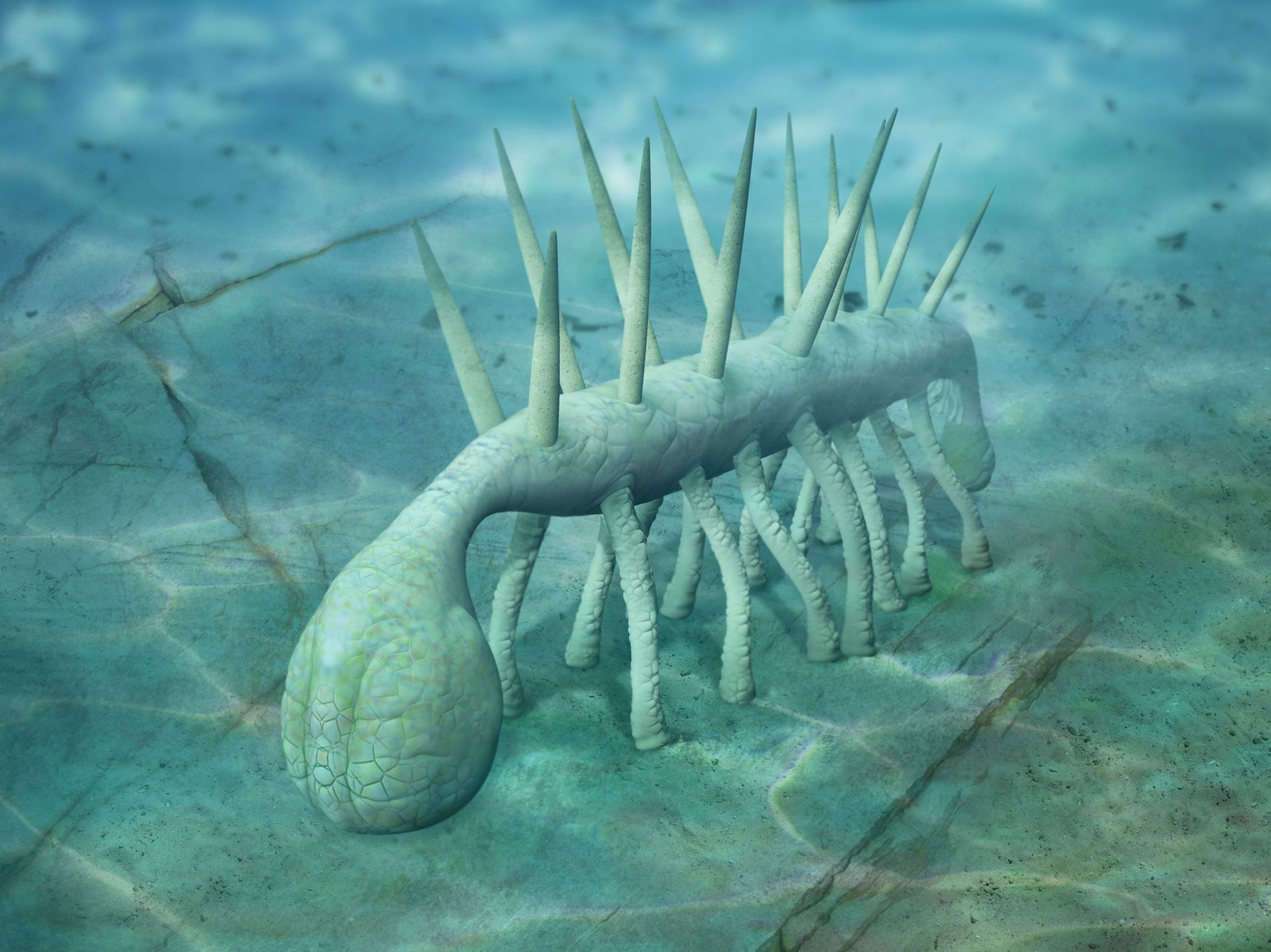 Hallucigenia Facts Cambrian Worm DK Find Out