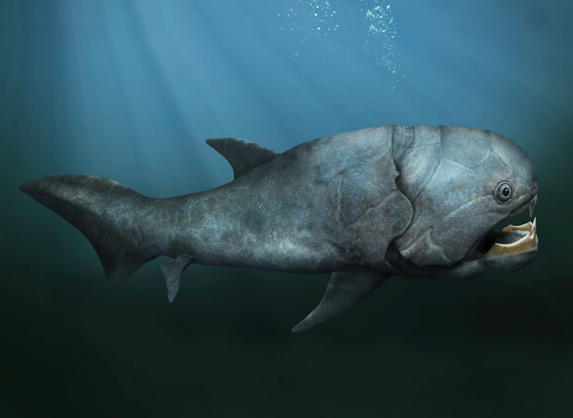 Dunkleosteus Facts | Armoured Fish | DK Find Out