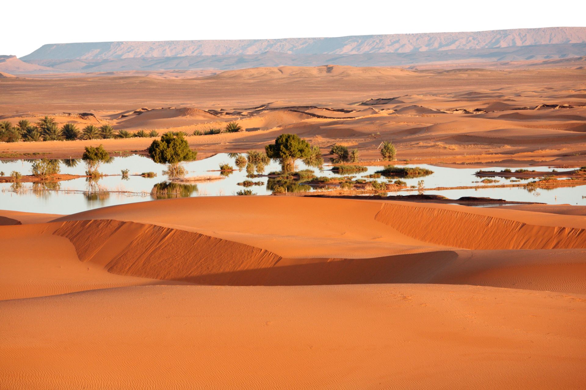 how-often-does-it-rain-in-the-sahara-desert-deserts-are-actually