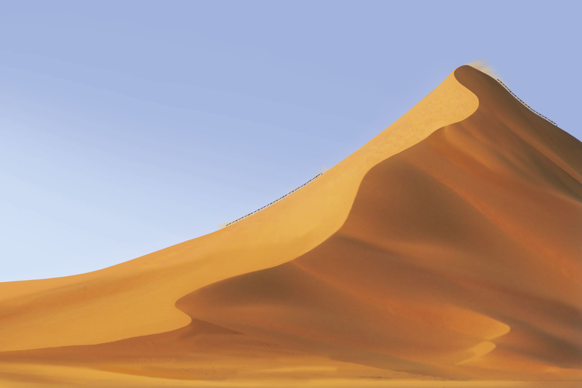 Sand Dune Facts How Are Sand Dunes Formed Dk Find Out