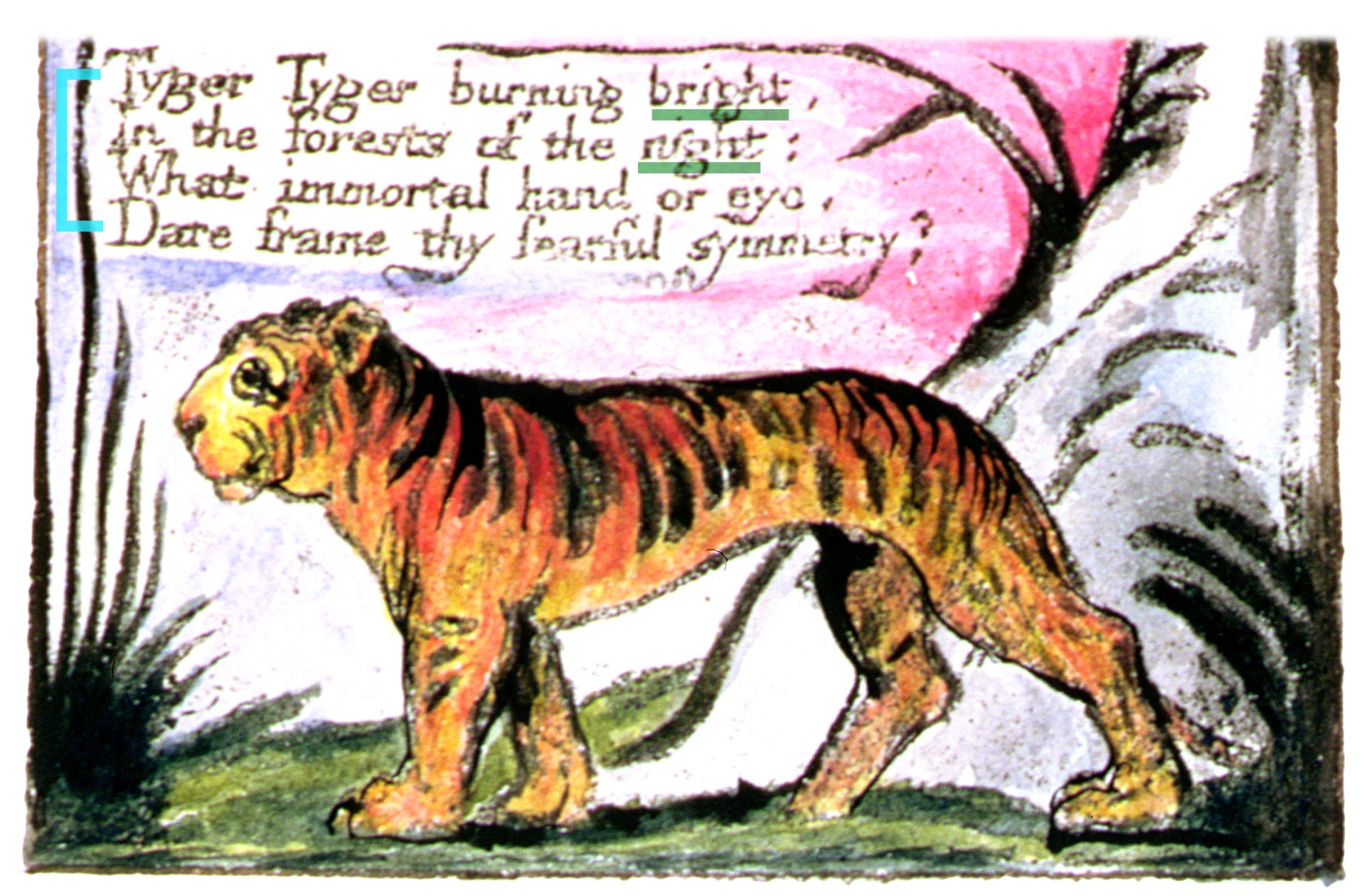 short poem on tiger | Sitedoct.org