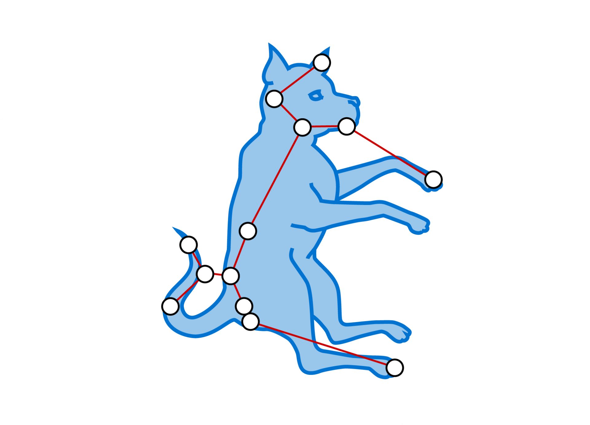 Canis Major Constellation Facts For Kids DK Find Out Canis Major Constellation Facts For Kids DK Find Out