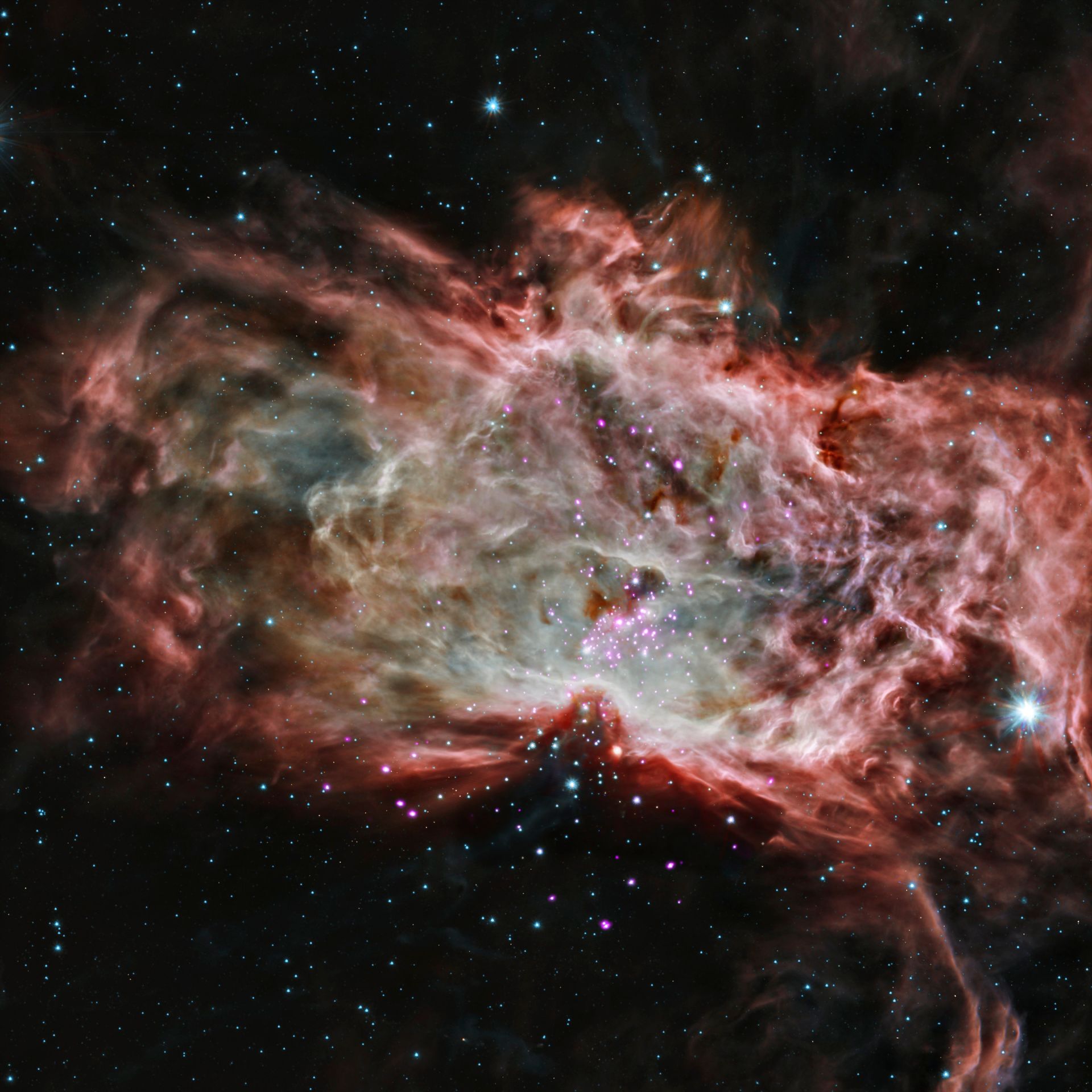 What is a Nebula Nebula Facts