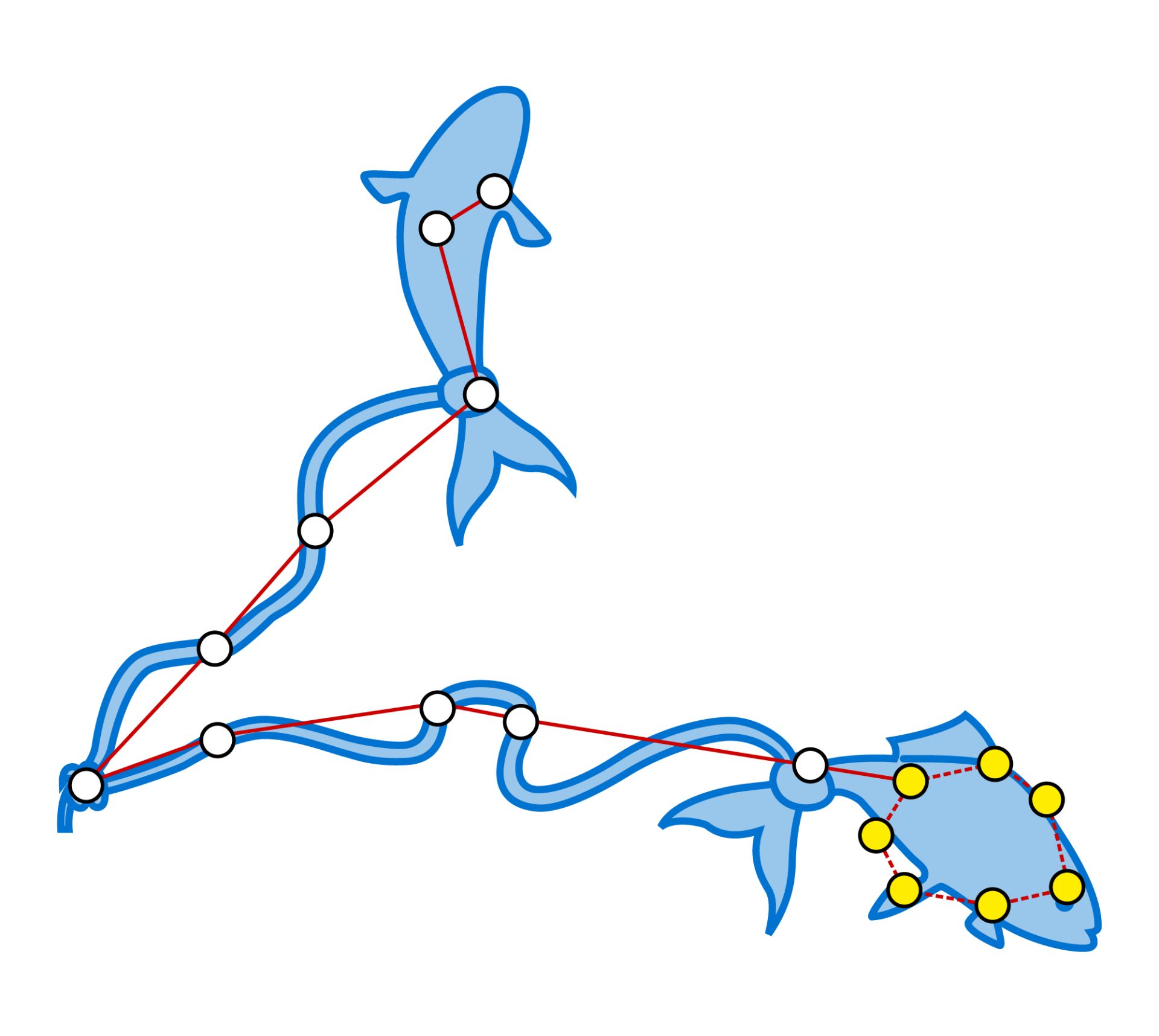 Pisces Constellation Facts Pisces Stars DK Find Out