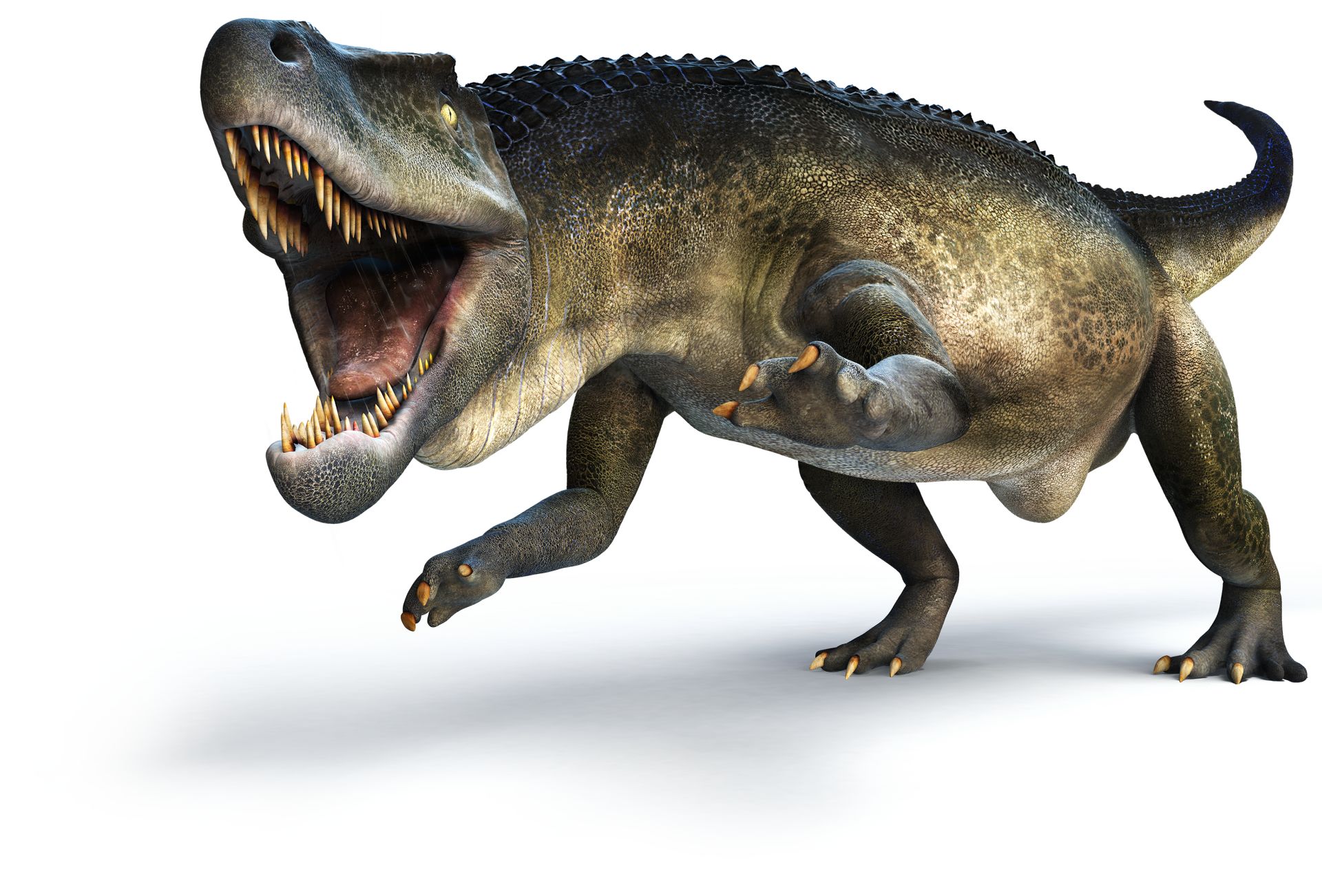 Deinosuchus  Dinosaurs - Pictures and Facts