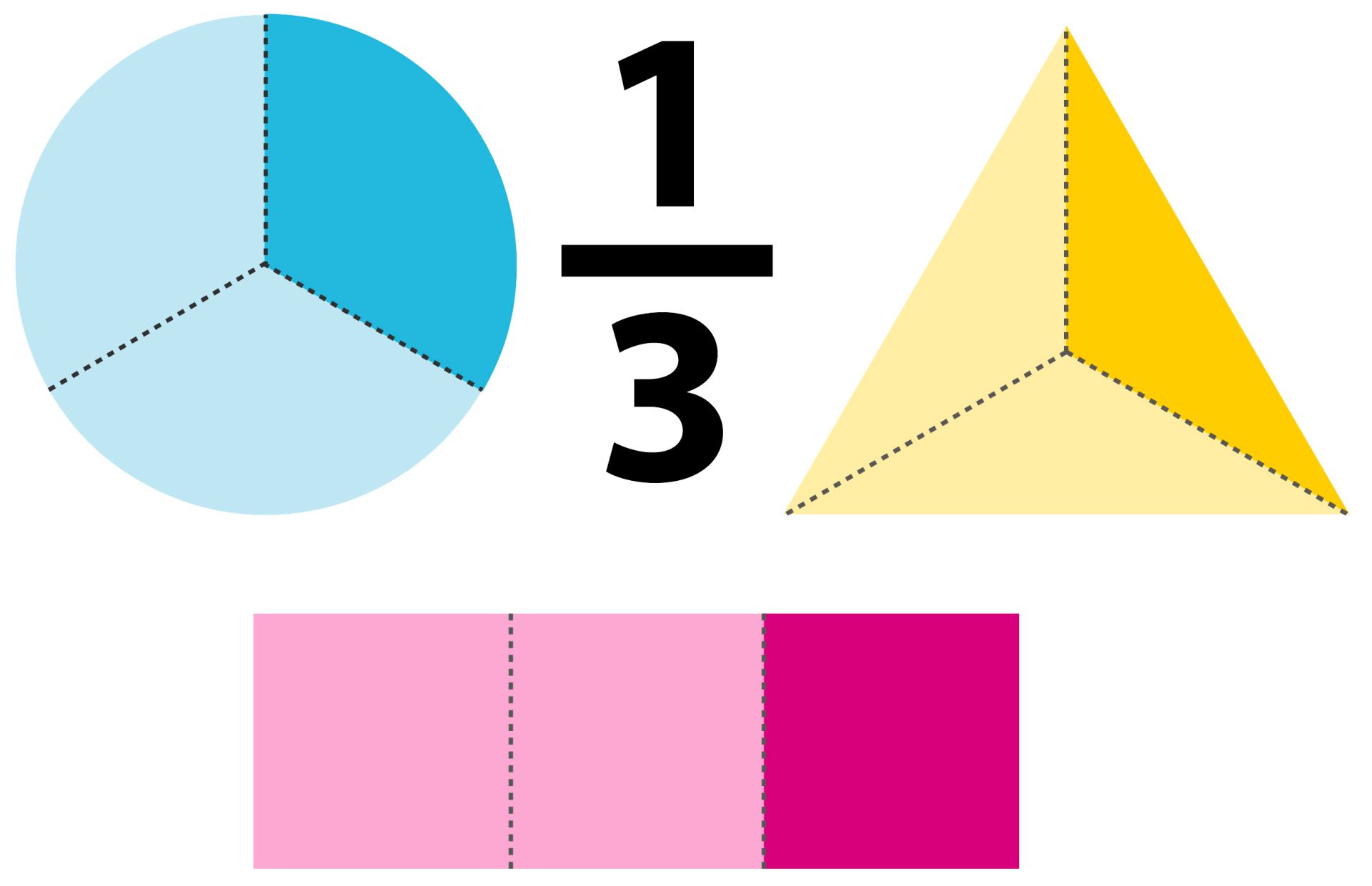 One Third | One Third Fraction | DK Find Out