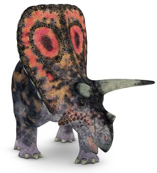 Image result for triceratops