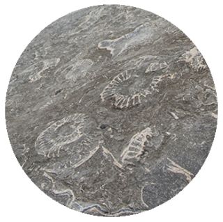 fossils ks1