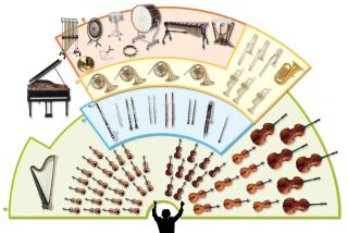 Instrument Families | Musical Instrument Types | DK Find Out