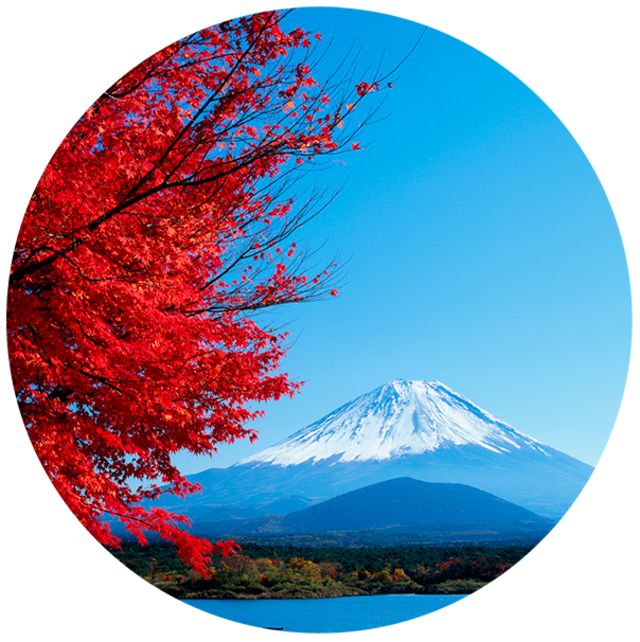 Types of Volcano | Volcano Types for Kids | DK Find Out